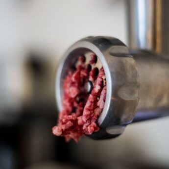 Picadora de huesos BARF para perros