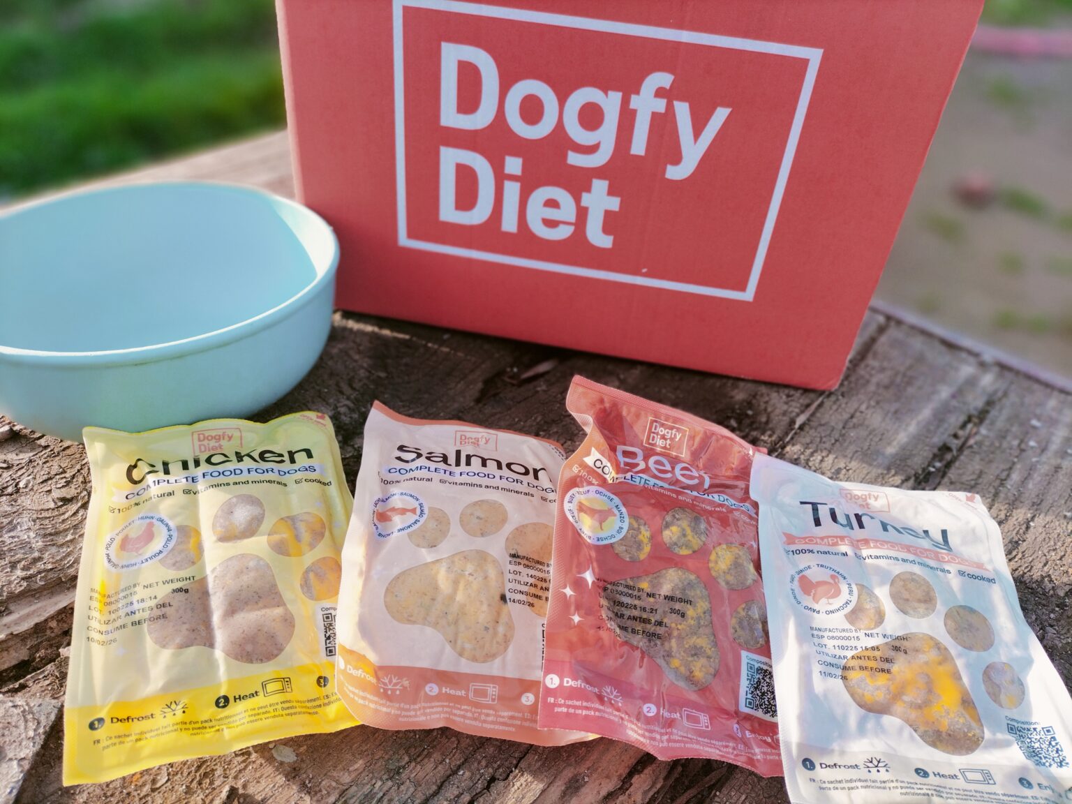 Analizando Las Recetas De Dogfy Diet Opini n T cnica De Sus Men s 