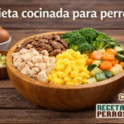 comida casera para perros