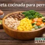 comida casera para perros